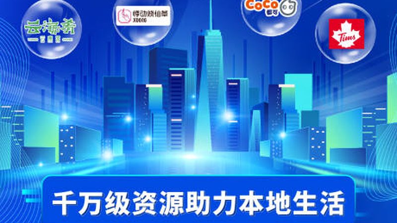 老式马桶疏通器弹簧钢材质的优劣解析**